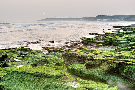 绿绿色海岸线石头流动戏剧性支撑海岸海浪热带风景岩石海洋图片