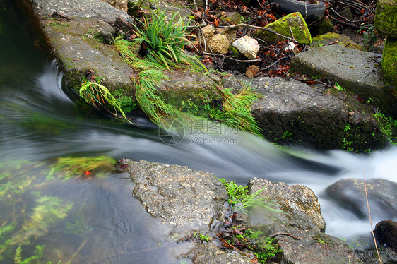 水和级联苔藓瀑布岩石公园荒野树叶溪流森林黄色风景图片