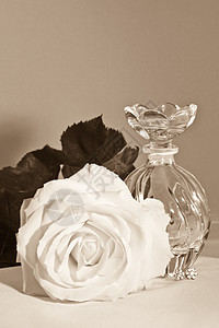 玫瑰和小瓶滴膏颜色图片