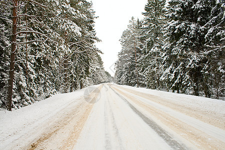 雪雪路树木旅行季节国家车道沥青松树天空驾驶天气图片