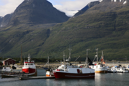 港端蓝色红色绿色钓鱼森林白色航行渔民岩石码头图片