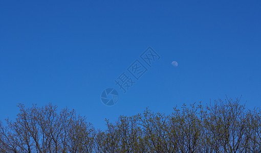 蓝色天空背景下的大月亮行星月光天文学圆圈图片