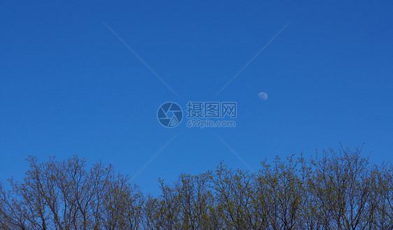 蓝色天空背景下的大月亮行星月光天文学圆圈图片