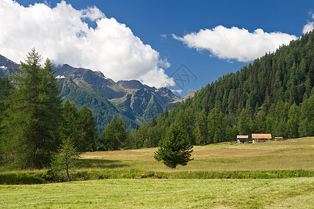 佩乔河谷高山地貌图片