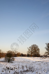 冬季公园季节天气国家曲目风景冻结天空场景树木小路图片