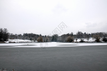 冬季湖国家树木冻结雪景降雪场景天气天空池塘风景图片