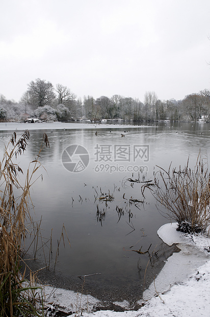 冬季湖池塘季节场地冻结树木天空雪景场景降雪天气图片