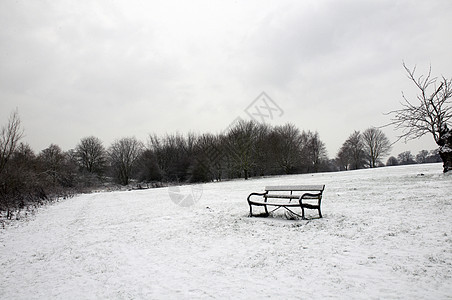 冬季公园国家天气绿地风景场地冻结长椅降雪小路天空图片