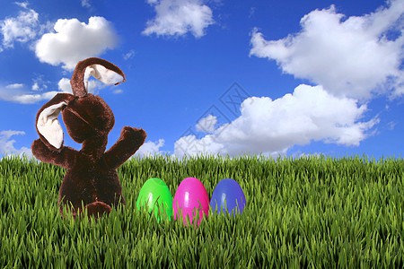 复活节兔子在绿草中图片
