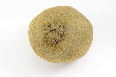 Kiwifruit 树脂营养热带异国白色维生素水果棕色奇异果饮食绿色图片