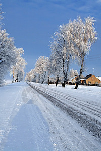 雪中道路中的积雪蓝色快乐森林天空白色场景松树图片