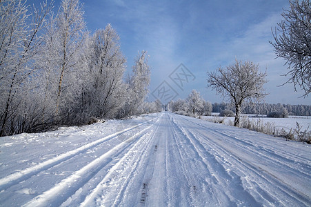 雪中道路中的积雪森林白色蓝色天空场景快乐松树图片