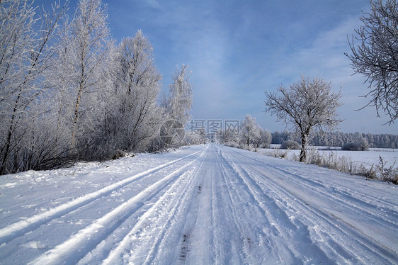 雪中道路中的积雪森林白色蓝色天空场景快乐松树图片