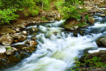 穿过森林的河流巨石蓝色地衣风景流动岩石生态溪流晴天林地图片