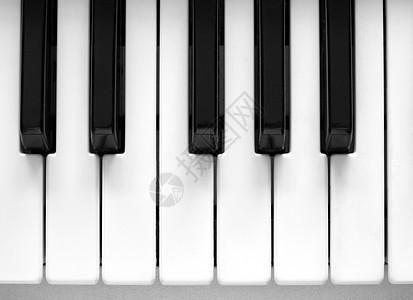 键盘黑色乌木器官钢琴电子大键迷笛白色钥匙乐器图片