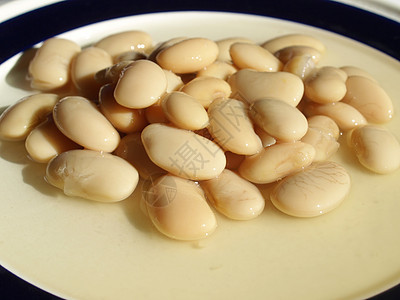豆沙拉食物大豆豆类沙拉生物饮食蔬菜黄豆扁豆营养图片