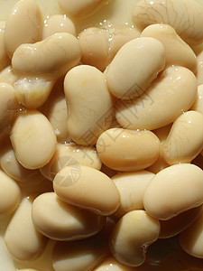 豆沙拉食物黄豆蔬菜豆类营养生物扁豆沙拉大豆饮食图片