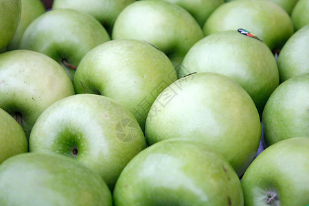 苹果小吃采摘市场食物生长水果果园种子生产馅饼图片