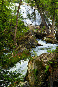 穿过森林的河流荒野蓝色溪流树干地衣流动岩石急流巨石环境图片