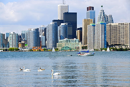 多伦多天线蓝色城市商业旅游帆船旅行办公室地标公司建筑学图片