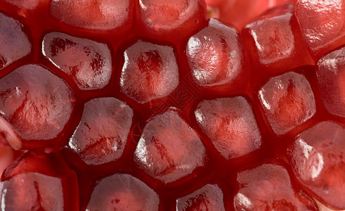 红粒石榴本底玉米红色小叶狭缝精神种子粮食石榴玫瑰色图片