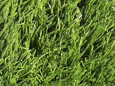 人工草地绿色地毯公园塑料花园图片