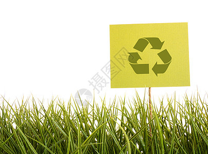 草地上的绿色标志国家植物回收环境草原天空黄色生活生态场地图片