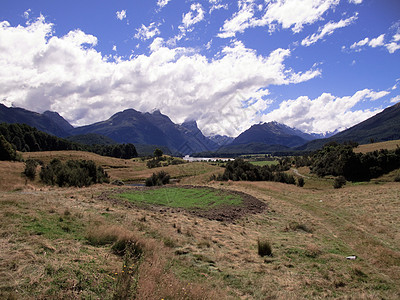 新西兰的农村滚动 农村植物群土地阳光旅行折叠天空晴天旅游农田风景图片