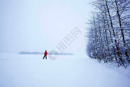 冬季天单国家越野男人活动白色滑雪锻炼孤独女士滑雪者图片