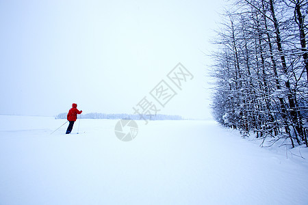 冬季天单越野孤独蓝色国家女士滑雪者活动滑雪季节运动图片