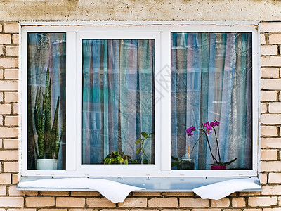 窗户季节窗台植物花朵阳光框架白色建筑玻璃房子图片
