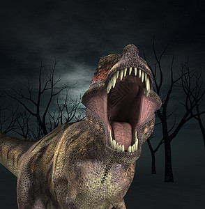 霸王龙咆哮食肉天空牙齿捕食者黑暗侵略侏罗纪动物蜥蜴危险图片