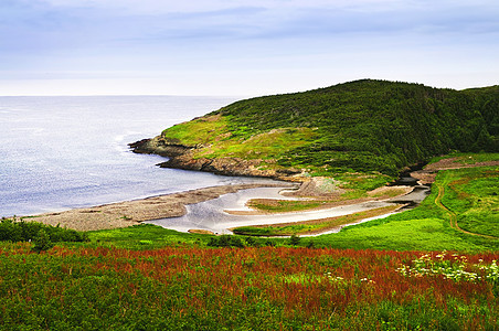 纽芬兰的大西洋海岸旅行海洋爬坡地平线森林荒野场地树木崎岖海岸线图片