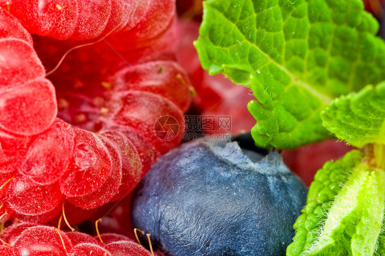 蓝莓和有薄荷叶的草莓薄荷蓝色团体甜点草本叶子覆盆子草本植物食物植物图片