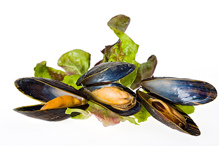 煮熟的露天蓝贝贝营养午餐烹饪翻盖动物食物海鲜甲壳盘子贝类图片