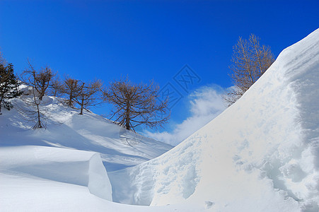 意大利高山的冬季图片