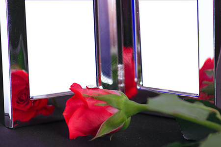 银边和红玫瑰粉色回忆花瓣装饰品玫瑰叶子白色红色花朵相框图片