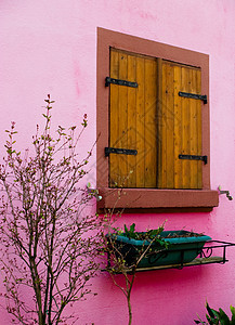 Alsace粉红木板房黄色开窗盒百叶窗粉色光束房子建筑假期木材旅行图片