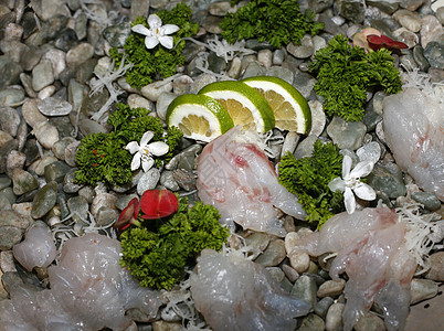 寿司午餐美味鱼片柠檬海鲜绿色美食庆典餐厅拼盘图片