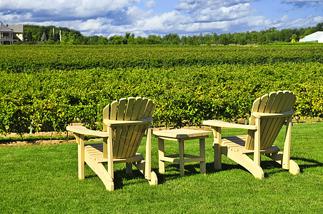 俯视葡萄园的椅子生长晴天家具农场园林绿化闲暇木头场地酿酒图片