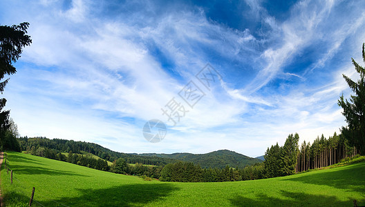 夏季风景公园森林房子叶子地平线木头阳光小路全景山脉图片