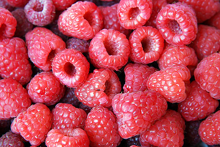草莓饮食浆果水果覆盆子红色衬套图片
