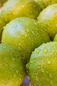 石灰食物绿色热带水果作品健康图片