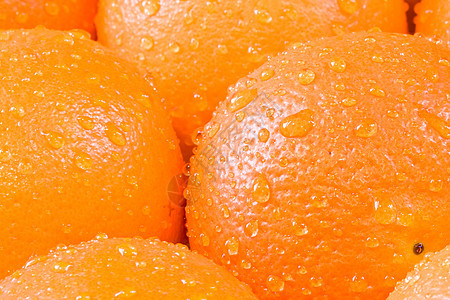 橙色时间水果热带食物作品图片