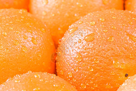 橙色时间热带水果食物作品图片