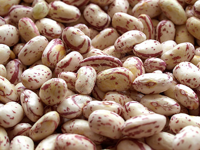 豆沙拉黄豆沙拉扁豆食物豆类大豆生物蔬菜图片