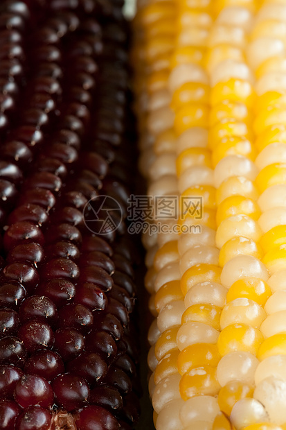 耳朵玉米收成小吃内核美食植物浆果蔬菜棒子食欲图片
