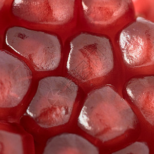 红粒石榴本底玫瑰色小叶玉米精神石榴粮食狭缝种子红色图片