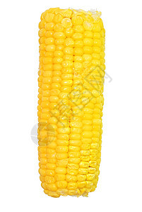 玉米在椰子上耳朵黄色棒子粮食收成白色核心蔬菜农业食物图片