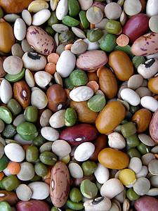 豆沙拉豆类蔬菜食物黄豆扁豆大豆沙拉生物图片